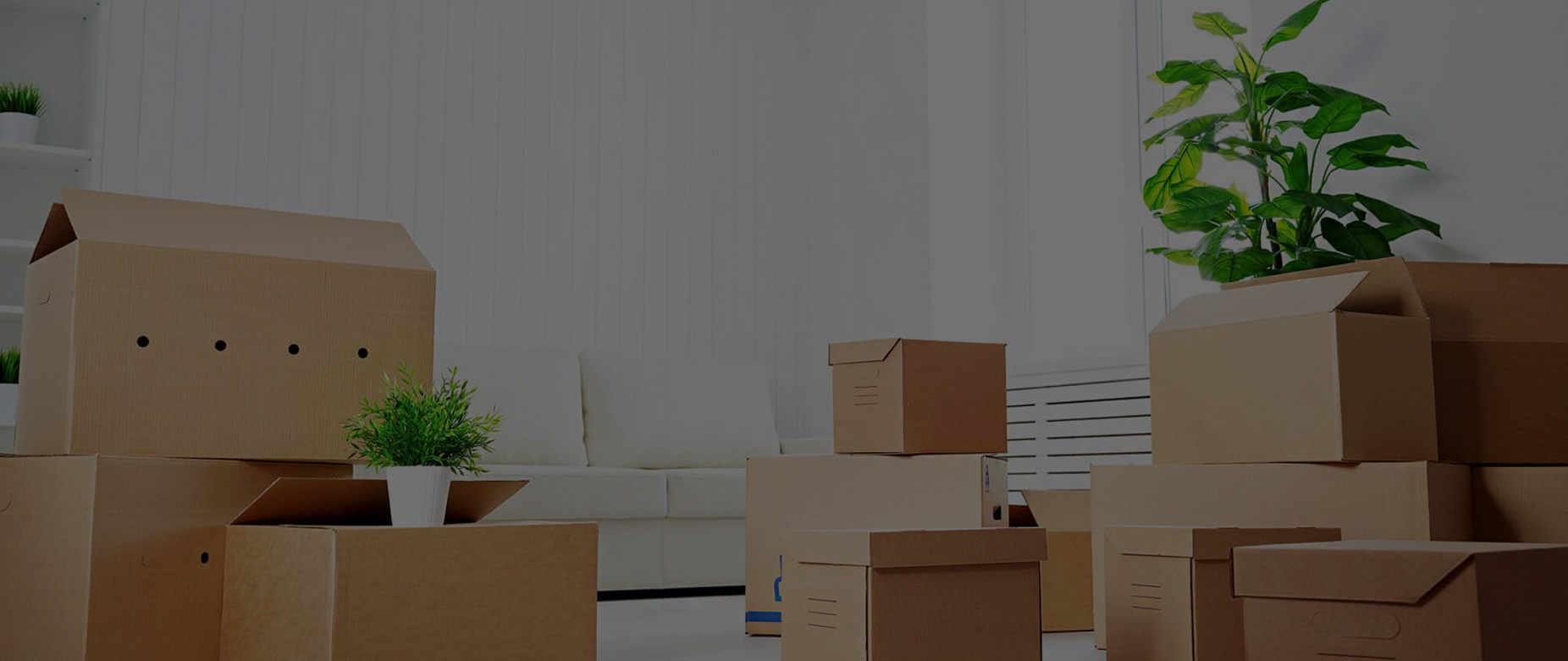 Indore Packers and Movers
